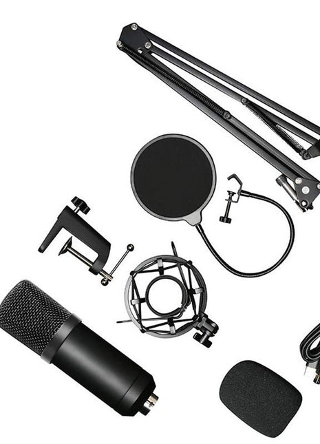 Microphone set