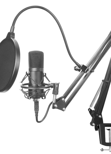 Microphone set